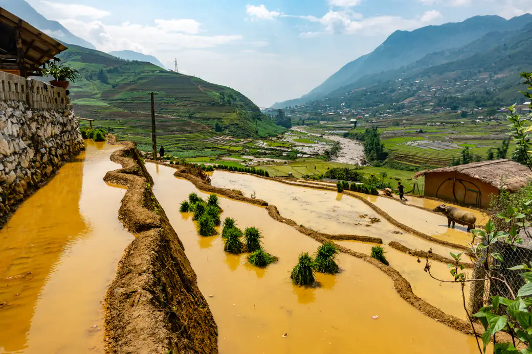 Sa Pa Rice Trekking Tours Of Northern Vietnam