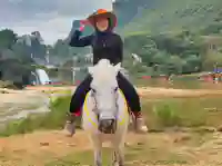 cao bang ban gioc horse