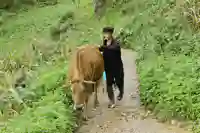 ha giang ma u trek