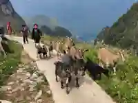 ha giang skypath