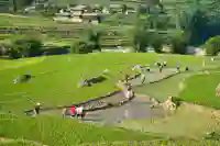 hero rice terrace