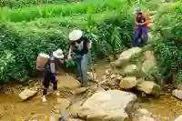 sapa bamboo forest crossing