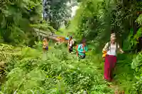 sapa bamboo forest girls