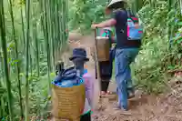 sapa bamboo forest ladies