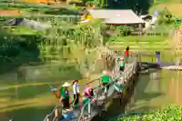 sapa cat cat bamboo bridge