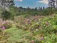 sapa love waterfall path