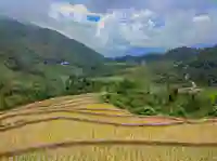 sapa seo my ty rice terrace houses