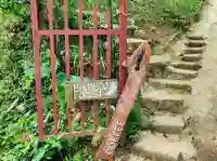 sapa ta van bambo forest sign